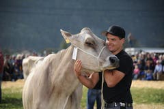 Bild: Urs Hanhart (Neue UZ)