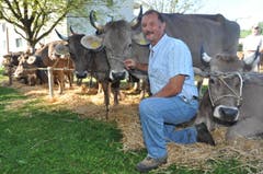Die Küssnachter Viehausstellung in Bildern (Bild: Edith Meyer, Bote der Urschweiz)