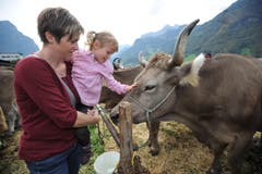 Impressionen von der Urner Grossviehschau in Altdorf. (Bild: Urs Hanhart)