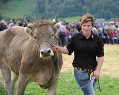 Impressionen von der Urner Grossviehschau in Altdorf. (Bild: Urs Hanhart)