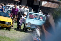 Oldtimertreff 2015 (Bild: Maria Schmid / Neue ZZ)