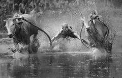 Finalist in der Kategorie "Sport" (Bild: YongSheng Zheng)