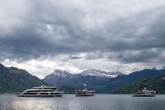Das MS Diamant, das DS Stadt Luzern und das DS Schiller (von links) bei Weggis. (Bild: Alexandra Wey / Keystone)