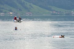 «Die Arbeit im Wasser macht meinen Hunden unglaublich Spass.» Es seien zwar teilweise schwierige Aufgaben. Aber mit dem Training, welches das ganze Jahr absolviert werde, und der daraus resultierenden Bindung sei es möglich, diese zu bewältigen, berichtet Christa Wermelinger aus Ennetbürgen. Sie hat die letztjährige Schweizer Meisterschaft für sich entschieden – mit ihrem Hund Dune, den sie auch dieses Mal dabeihat. (Bild: Maria Schmid / Neue ZZ)