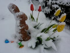 Ostern 2012 im Schnee (Bild: Christine Amstutz)
