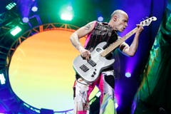 Michael 'Flea' Balzary, Bassist von Red Hot Chili Peppers. (Bild: Keystone / Peter Klaunzer)