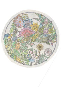 Bild: Ruth Arnold, Kriens