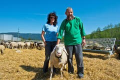Sie sind täglich bei ihren Schafen. Alfons und Romy Betschart freuen sich, wenn es dann Mitte Juli auf die Charetalp geht. (Bild: Erhard Gick)