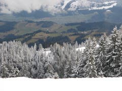 Oben weiss, unten grün: So präsentiert sich der Winter in der Zentralschweiz für jene, die in den Höhen des Napfgebiets unterwegs sind. (Bild: Leserbild Peter Helfenstein, Willisau)