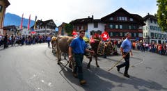 Einige Impressionen des 6. Alpabzugs in Kerns. (Bild: Markus von Rotz)