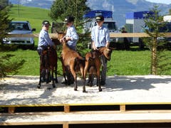 Bilder: Priska von Flüe und Gabi Schmidlin