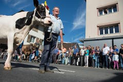 Umzug durch Küssnacht (Bild: Eveline Beerkircher)