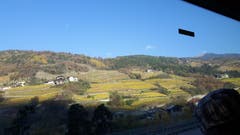 Noch haben die Weinberge ihr Herbstkleid im Südtirol. (Bild: Hanny Wirz)