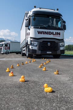 Die Trucker messen sich im Geschicklichkeitsparcours. (Bild: Boris Bürgisser, Luzerner Zeitung / Alpnach, 27.05.2017)