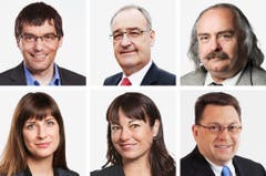 WAADT (3/3) - (obere Reihe von links) Roger Nordmann (bisher), SP; Guy Parmelin (bisher), SVP; Luc Recordon (neu), Grüne. (untere Reihe von links) Rebecca Ruiz (bisher), SP; Geraldine Savary (neu), SP; Laurent Wehrli (neu), FDP. (Bild: Keystone / Handout)