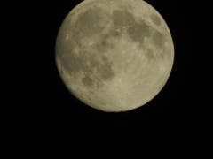 Super Vollmond, aufgenommen auf dem Sonnenberg in Kriens. (Bild: Leser Martin Züst)