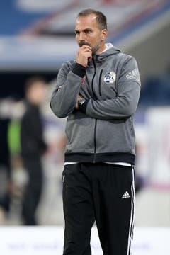 Luzerns Trainer Markus Babbel während des Spiels. (Bild: Philipp Schmidli / Luzerner Zeitung)