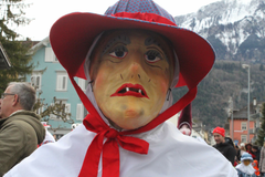 Neugieriges Hudi (Bild: Bote der Urschweiz)