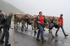 Unterwegs auf der «Boodäfaart» aus dem Klausengebiet auf den Urnerboden. (Bild: Urs Hanhart/Neue UZ)