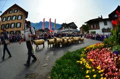 Blumen schmückten den Strassenrand. (Bild: Markus von Rotz)