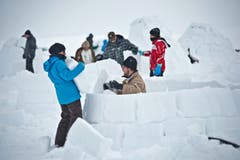 Quader um Quader werden aus der Schneedecke gehauen und aufgetürmt. (Bild: Pius Amrein / Neue LZ)
