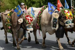 ... und Blumen geschmückt. (Bild: Robert Hess (Neue OZ))