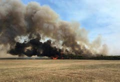 In Australien steht der Sommer und damit die Buschbrandsaison bevor. (Bild: Keystone)