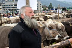 Schöne Kühe, stolze Besitzer. (Bild: Romano Cuonz)