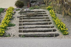 Osterglocken stehen Spalier. Herzlich willkommen! (Bild: Edi Ulmi)