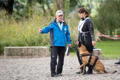 Die Prüfung ist in zwei Teile gegliedert: Zuerst findet die Landarbeit statt... (Bild: Maria Schmid / Neue ZZ)