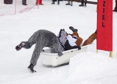 Es müssen nicht immer Skier sein. (Bild: Ernst Immoos/Bote der Urschweiz)