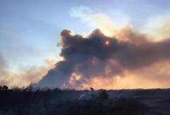 Der Brand zerstörte bislang rund 90'000 Hektar Land. (Bild: Keystone)