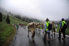 Unterwegs auf der «Boodäfaart» aus dem Klausengebiet auf den Urnerboden. (Bild: Urs Hanhart/Neue UZ)