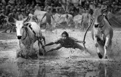 Finalist in der Kategorie "Sport" (Bild: YongSheng Zheng)