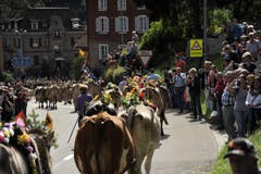 Bild: Urs Hanhart / Neue UZ
