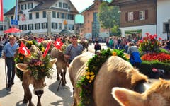 Über 250 Tiere waren mit dabei. (Bild: Markus von Rotz)