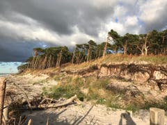 Naturstrand an der Ostsee (Bild: Liliane Schweizer)