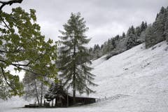 Aeschiried BE (Bild: Keystone)