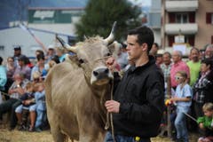 Impressionen von der Urner Grossviehschau in Altdorf. (Bild: Urs Hanhart)