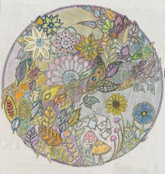 Bild: Helen Furrer, Zug