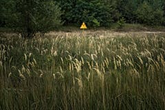 Zuletzt ein magischer Moment purer Lust und vollendeten Glücks. Ist das nicht ein wenig abwegig, wo die Welt ein Pulverfass ist? Nein, es ist genau das richtige Bild in einer Zeit der Kriege und Katastrophen, des Elends und des Leids. (Bild: Swiss Press Photo / Niels Ackermann)