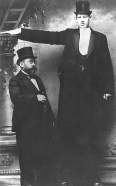 Julius Koch, auch bekannt als «Géant Constantin», war 2.58 Meter gross und wurde in Varietés in ganz Europa als Riese inszeniert. Bild aus dem Jahr 1900. (Bild: Archiv Muséum régional des Sciences naturelles Mons)