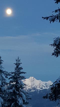 Der noch fast volle Mond begleitete mich auf dem Aufstieg nach Rigi Kulm, morgens um 6 Uhr. (Bild: Beatrice Rauch)