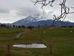 Noch sind sie alle im Winterschlaf. Nur ab und zu einmal sieht man einen Golfer für sein Handicap trainieren, ganz brav. (Bild: Margrith Imhof-Röthlin)
