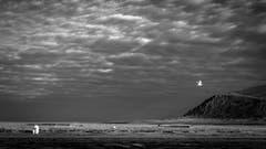 Finalist in der Kategorie "Reisen" (Bild: Wilfred Berthelsen)