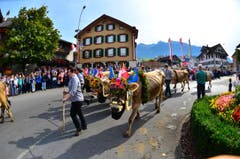 Einige Impressionen des 6. Alpabzugs in Kerns. (Bild: Markus von Rotz)