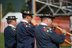 Alphornspieler sorgen für Stimmung. (Bild: Pius Amrein)