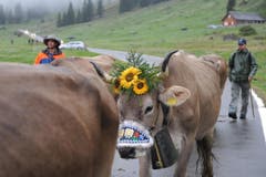 Unterwegs auf der «Boodäfaart» aus dem Klausengebiet auf den Urnerboden. (Bild: Urs Hanhart/Neue UZ)