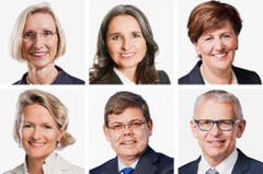 LUZERN (1/2) - (obere Reihe von links) Prisca Birrer-Heimo (bisher), SP; Yvette Estermann (bisher), SVP; Ida Glanzmann-Hunkeler (bisher), CVP. (untere Reihe von links) Andrea Gmür (neu), CVP; Franz Grüter (neu), SVP; Leo Müller (bisher), CVP. (Bild: Keystone / Handout)