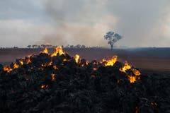 Die Feuerwehr in South Australia warnte angesichts der grossen Trockenheit in der Region vor einer «gefährlichen Situation». (Bild: Keystone)